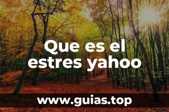 Que es la libertad de empresa yahoo 3 Que es el estres yahoo
