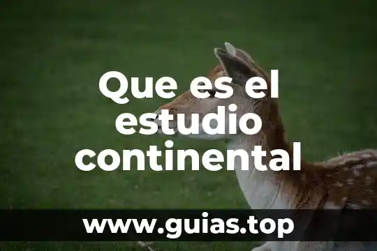 Que es un mapa a escala continental 6 Que es el estudio continental