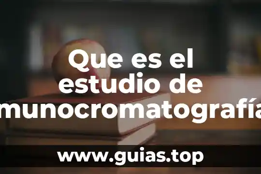 En que mes del embarazo puedo saber que es 3 Que es el estudio de inmunocromatografía de embarazo