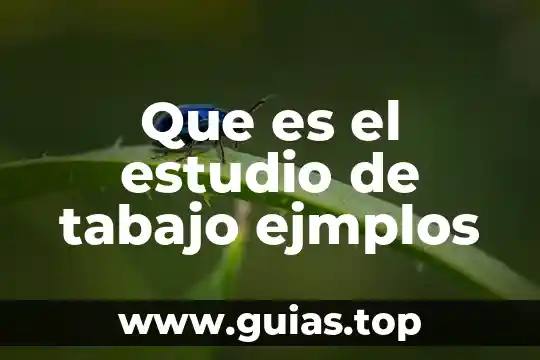 Que es una banda y sus tipos 4 Que es el estudio de tabajo ejmplos
