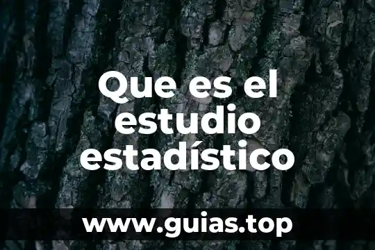 Bordo agua que es 8 Que es el estudio estadístico