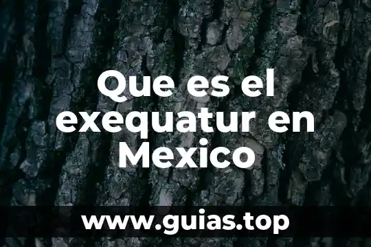 Que es la inclusion para mexico 5 Que es el exequatur en Mexico