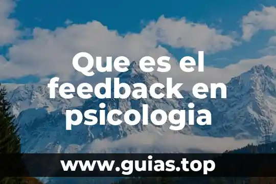 Qué es psicología pragmática 6 Que es el feedback en psicologia