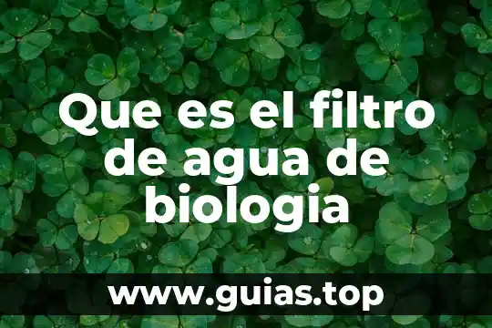 Que es una reaccion de descomposicion en biologia 8 Que es el filtro de agua de biologia