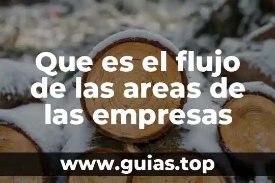 Que es la muerte definicion filosofica 5 Que es el flujo de las areas de las empresas