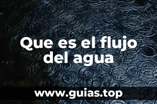 Qué es un flujo en el manejo de archivos 4 Que es el flujo del agua