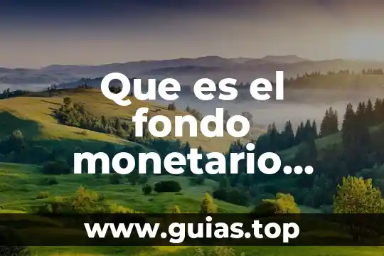 Que es el mercado monetario de dinero 8 Que es el fondo monetario internacional fmi