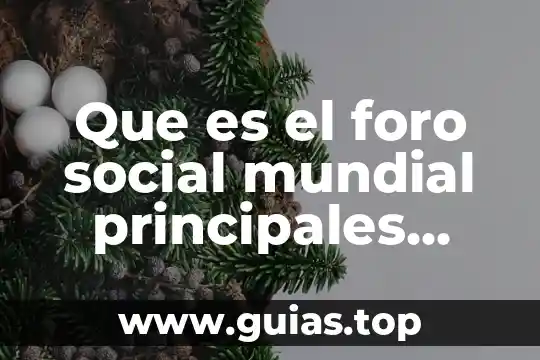 Que es un ensayp y sus caracteristicas principales 8 Que es el foro social mundial principales objetivos