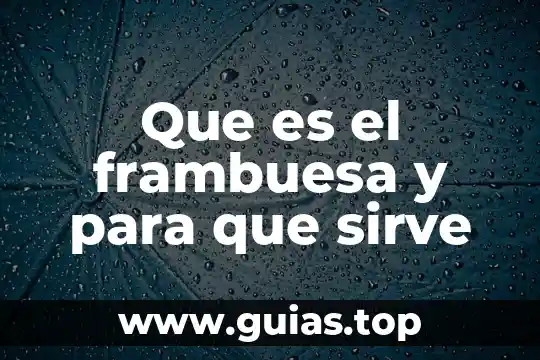 Qué es lógica matemática y para qué sirve 5 Que es el frambuesa y para que sirve