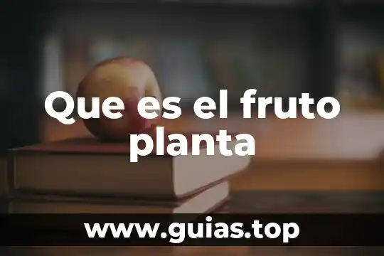 Que es un contrato script 6 Que es el fruto planta