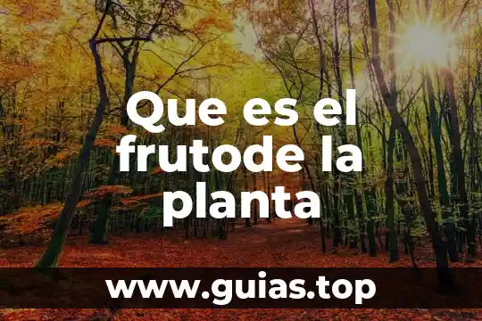 Que es comunicacion social para el desarrollo 6 Que es el frutode la planta