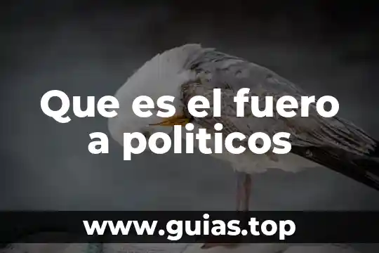 Qué es una inferencia lógica matemática 3 Que es el fuero a politicos