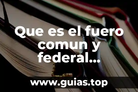 Que es la vía intrínseca extrinsecas y comun 8 Que es el fuero comun y federal ejemplos