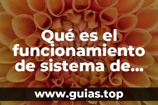 Por que es importante el diagnostico 5 Qué es el funcionamiento de sistema de diagnóstico