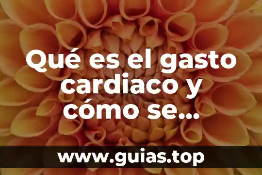 Que es el gasto publico y de que esta compuesto 4 Qué es el gasto cardiaco y cómo se calcula