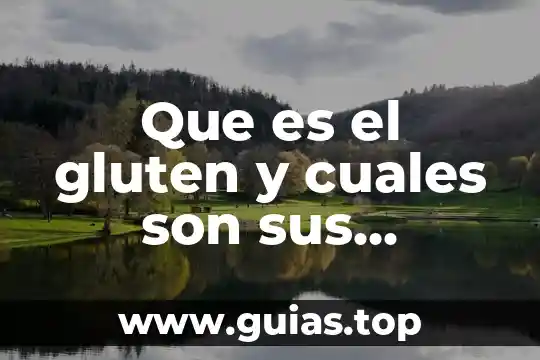 Que es el aborto cuales son los tipos que hay 6 Que es el gluten y cuales son sus componentes