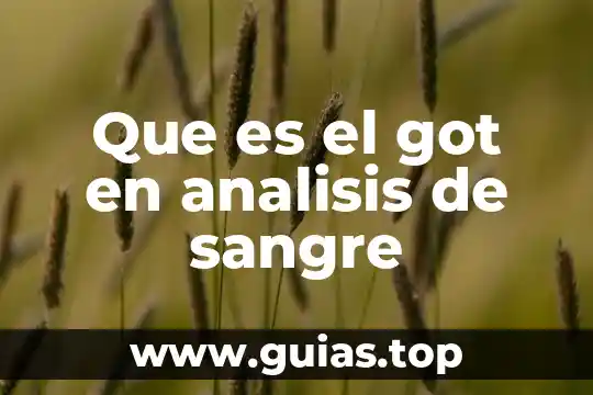 W question que es 6 Que es el got en analisis de sangre