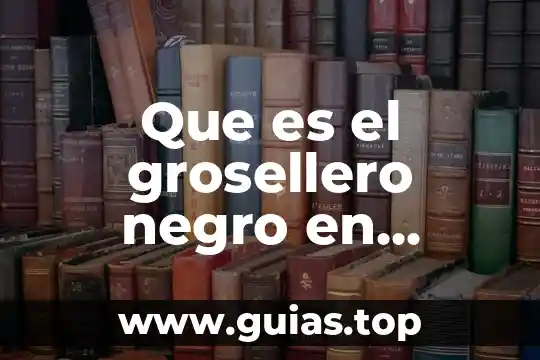 Que es la prorroga de la competncia mexico 3 Que es el grosellero negro en mexico