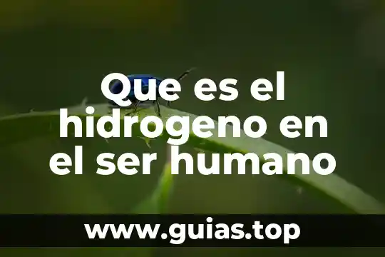 Que es ser autista en la ortografia 3 Que es el hidrogeno en el ser humano