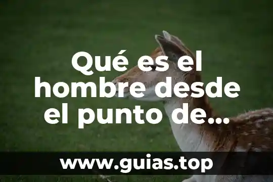 Qué es concepto desde el punto de vista filosófico 6 Qué es el hombre desde el punto de vista social