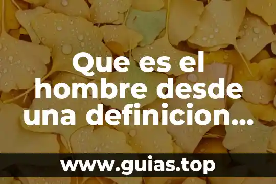 Cambio atmosférico definición 5 Que es el hombre desde una definicion etimologica itroduccion