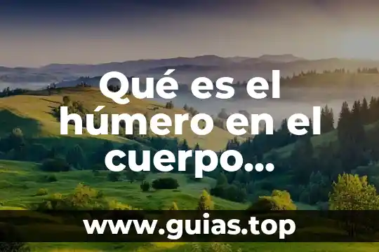 Que es ser autoindependiente 6 Qué es el húmero en el cuerpo humano