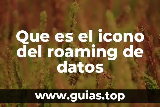 Que es un icono de una computadora 4 Que es el icono del roaming de datos