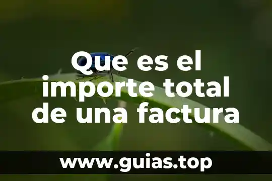 Dinero electronico que es en una factura 4 Que es el importe total de una factura