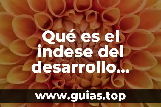 Qué es la fisiología del ser humano 5 Qué es el indese del desarrollo humano