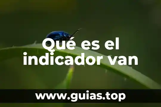 Que es un indicador en el concepto quimica 7 Qué es el indicador van