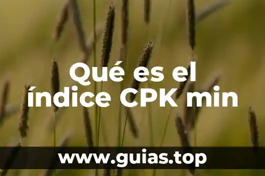 Ser estudiante regular que es 7 Qué es el índice CPK min