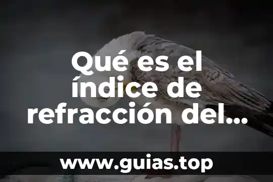 Que es bueno para quemadura con agua hervida 6 Qué es el índice de refracción del agua