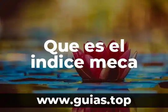 Que que es el indice e emulsificacion 8 Que es el indice meca