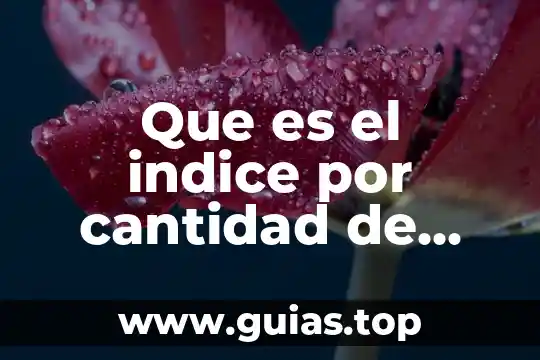 Que es la concepto de cantidad 7 Que es el indice por cantidad de educacion por niveles