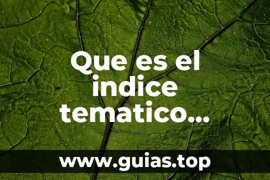 Qué es un estudio preliminar de un proyecto 3 Que es el indice tematico preliminar
