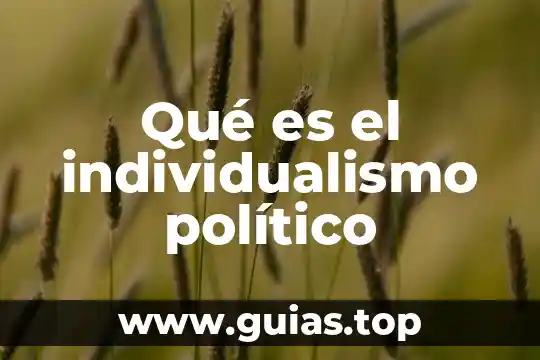 Que es un auge politico 7 Qué es el individualismo político