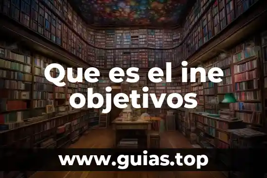 Tamayo que es plantear los objetivos 3 Que es el ine objetivos