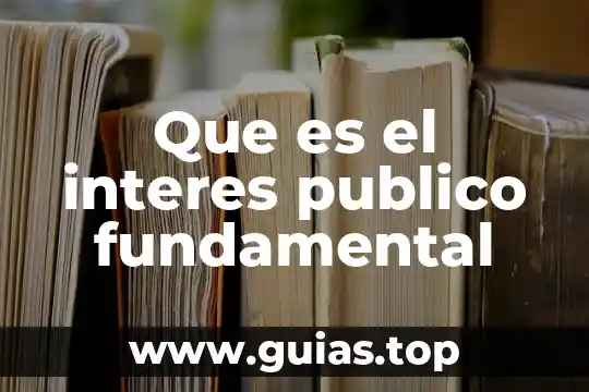 Qué es déficit público definición 6 Que es el interes publico fundamental