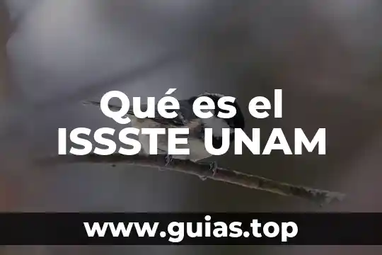 Que es fabulo en animal juego de agilizar mente 8 QuƩ es el ISSSTE UNAM