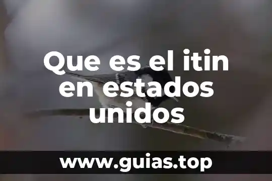 La ley monetaria de los estados unidos mexicanos que es 8 Que es el itin en estados unidos