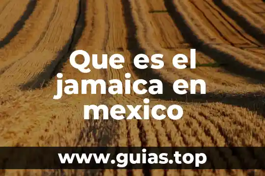Para qué es buena agua de jamaica 7 Que es el jamaica en mexico