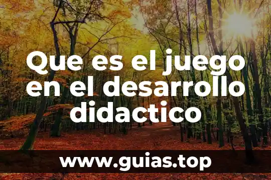 Terminal value que es 5 Que es el juego en el desarrollo didactico
