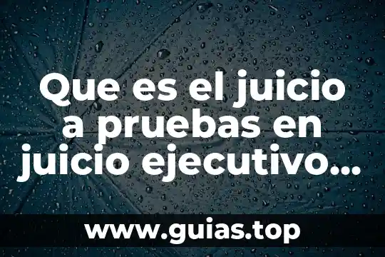 Que es un contrato mercantil concepto 7 Que es el juicio a pruebas en juicio ejecutivo mercantil