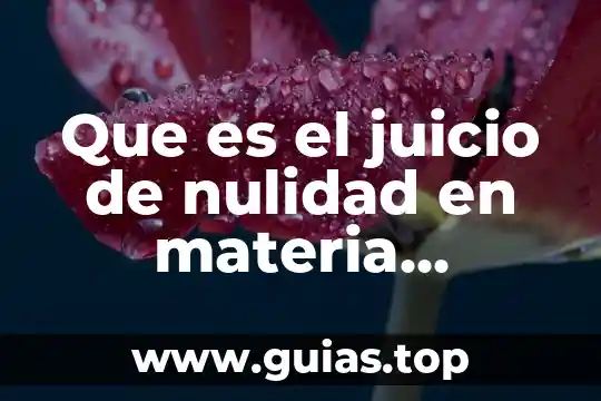 Que es una reconsideración administrativa 8 Que es el juicio de nulidad en materia administrativa