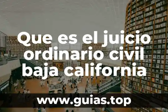 Que es el perjuicio en derecho civil 8 Que es el juicio ordinario civil baja california