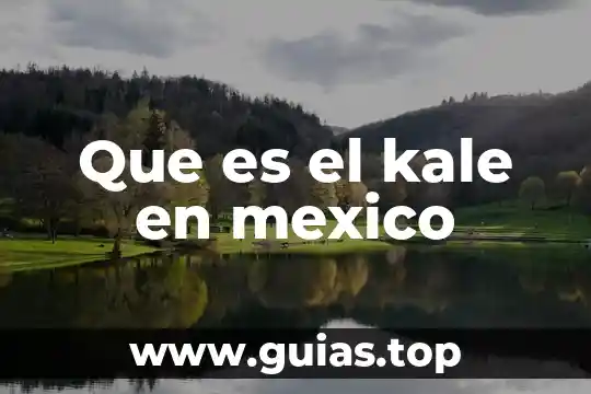 Qué es la meditación qué tipos de meditación hay 6 Que es el kale en mexico