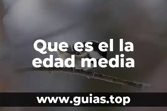 Que es la edad moderna concepto 5 Que es el la edad media