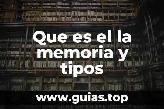 Tipos de vista que es 8 Que es el la memoria y tipos