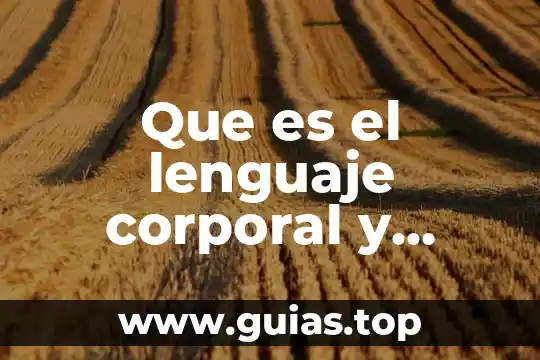 Que es el lenguaje abstracto ejemplos 3 Que es el lenguaje corporal y como se divide