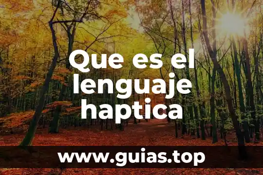 Que es el arcaísmo origen en el lenguaje 7 Que es el lenguaje haptica